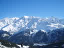 S8001567.jpg